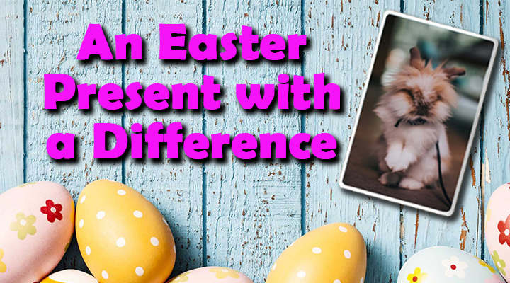 Looking for an An Easter Present with a Difference?